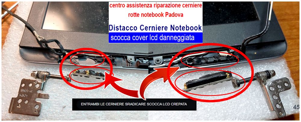 Sostituzione cerniere LCD. a Padova